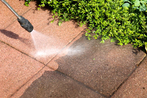 Best Roof Pressure Washing  in Country Club Hills, MO